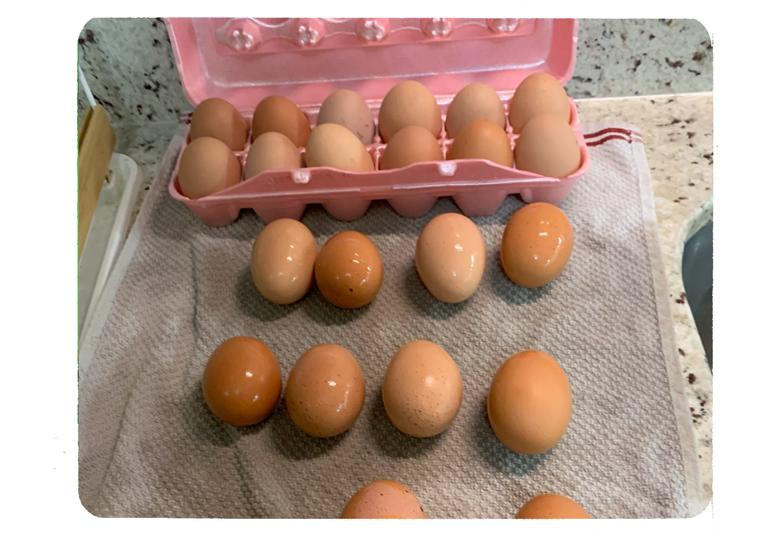 more than a dozen eggs on the counter